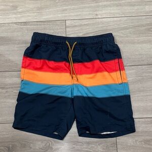 Colorful Striped Men's Swim Board Shorts